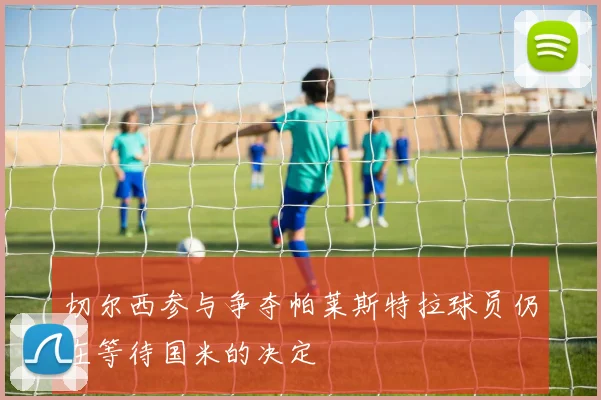 切尔西参与争夺帕莱斯特拉球员仍在等待国米的决定